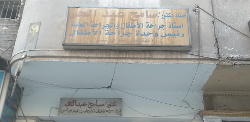 Sameh AbdelHay