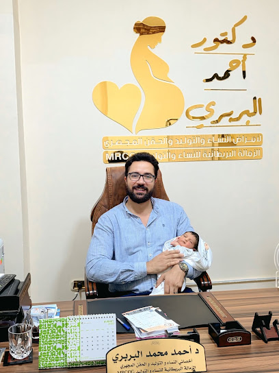 أحمد البربري