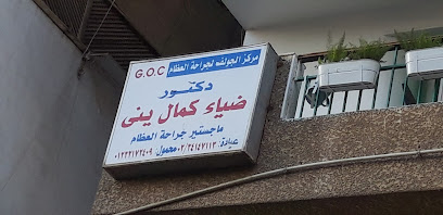 Diaa Kamal Yny
