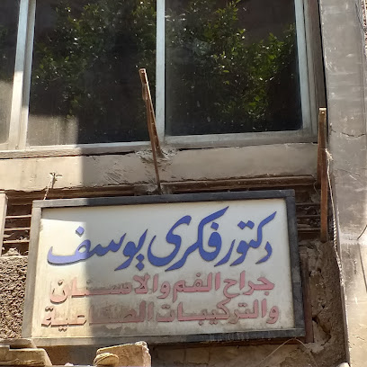فكرى يوسف