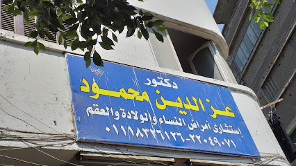 Azaldyn Mahmoud
