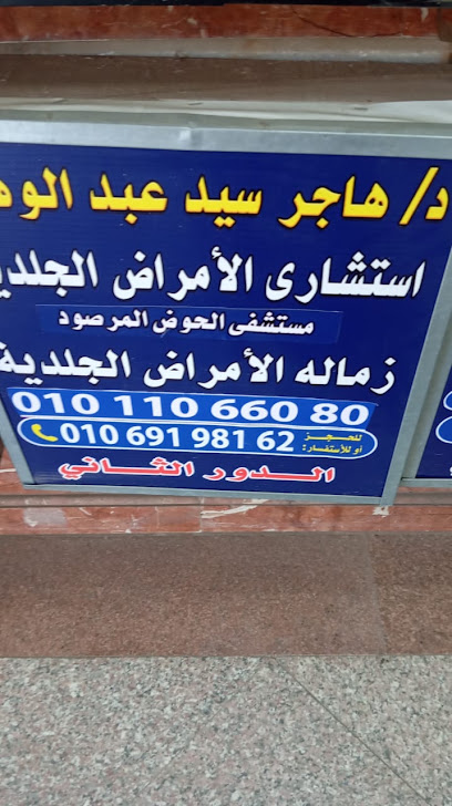 هاجر سيد عبد الوهاب