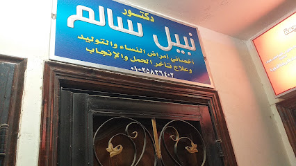 نبيل سالم