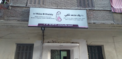 ولاء محمد شلبي