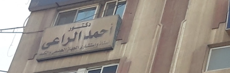 Ahmed El-Raay