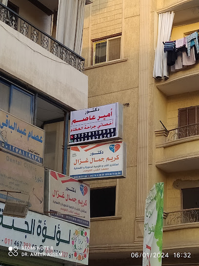 أمير عاصم