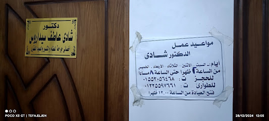 Shady Atef Sydarws