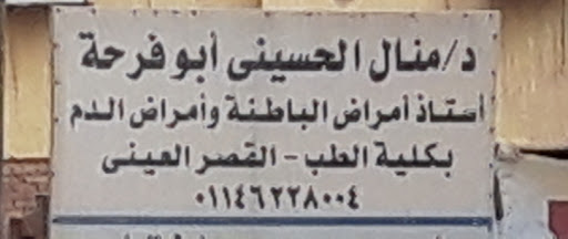 منال الحسينى أبو فرحة