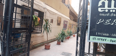 أيوب عامر