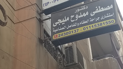 Mostafa Mamdouh Mlygy
