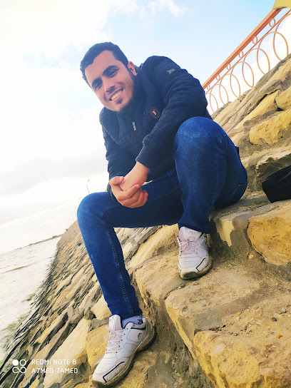 Mr ahmed hamed