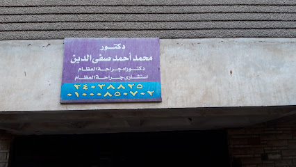محمد أحمد صفى الدين