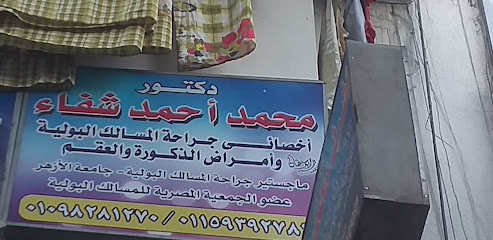 Mohamed Ahmed Shfa