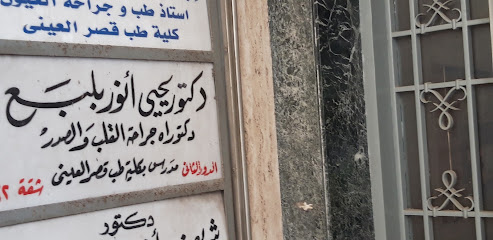 يحيى أنور بلبع