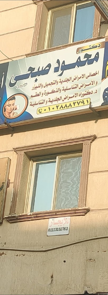 محمود صبحي
