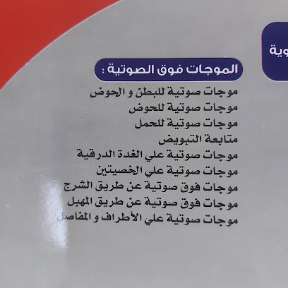 محمد فرغلي امين