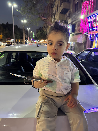 عامر مرسى