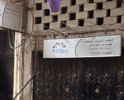 Amr El-Sayed Khlyfh