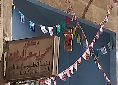 محمود سعد الدين