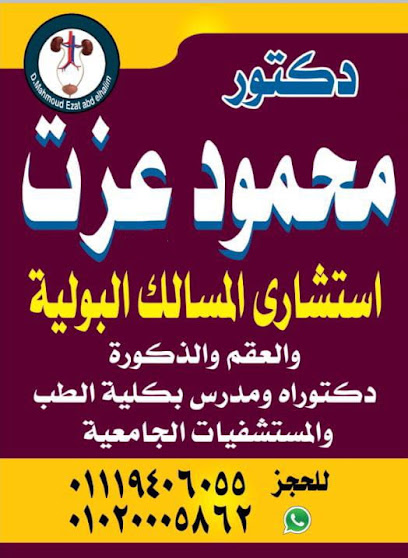 محمود عزت