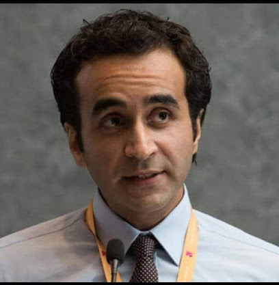 Hesham El-Smdwny