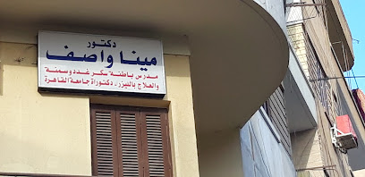 مينا واصف
