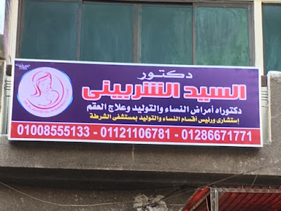 السيد الشربيني