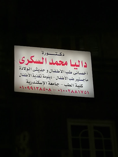 Dalia Mohamed Elsokary