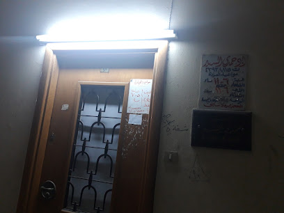حمدى السيد
