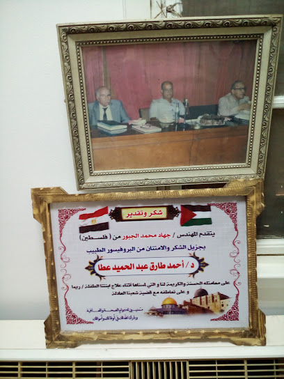 Ahmed Tarek Ata