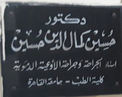 Hussein Kamal Eldin Hussein