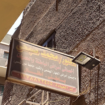 محمد صبحى