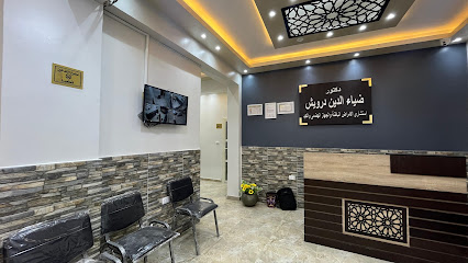 ضياء الدين درويش