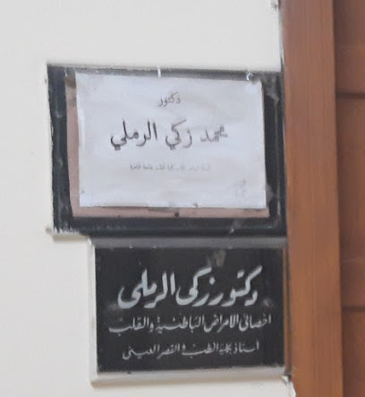محمد زكى الرملى