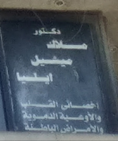 ملاك ميشيل ايليا