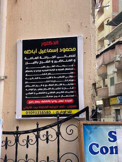 محمود اسماعيل اباظه