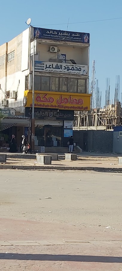 بشير خالد
