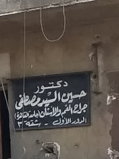 Hussein El-Sayed Mostafa