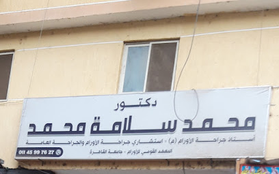 محمد سلامة محمد