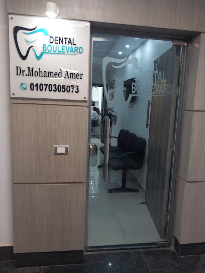 Mohamed Amer