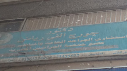 جورج الفى رياض