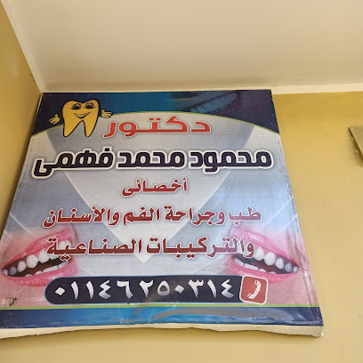 محمود محمد فهمي
