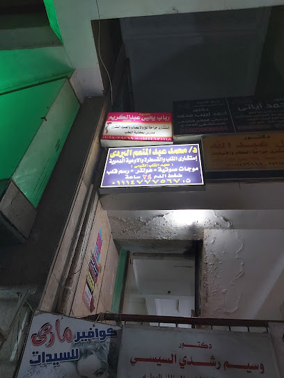 محمد عبد المنعم البردى