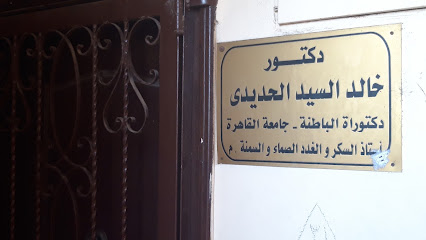 خالد السيد الحديدى