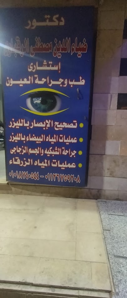 Diaa Eldin Mostafa El-Rkbawy