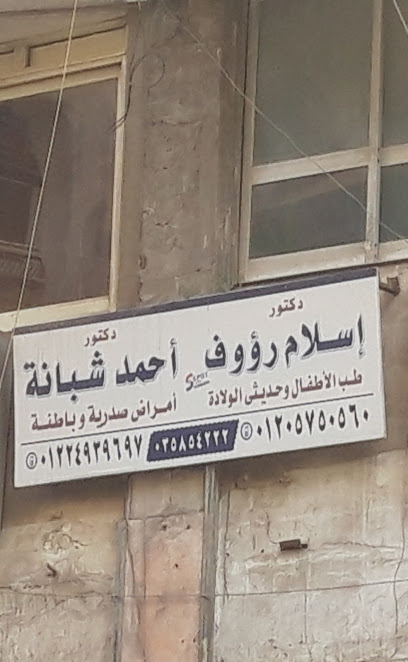 إسلام رؤوف