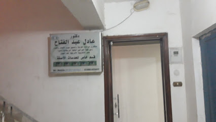 عادل عبد الفتاح