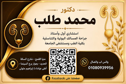 Mohamed Tlb