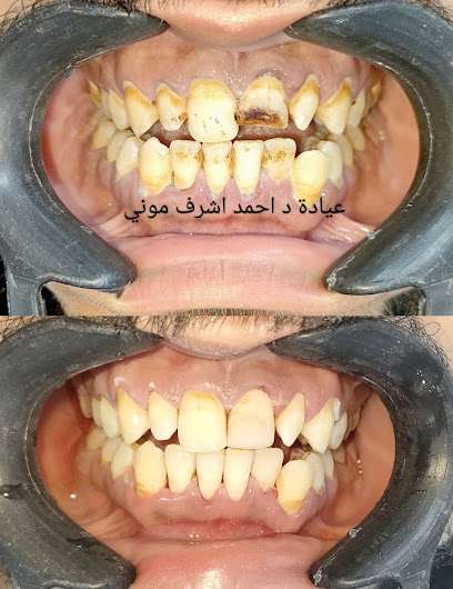 احمد اشرف موني