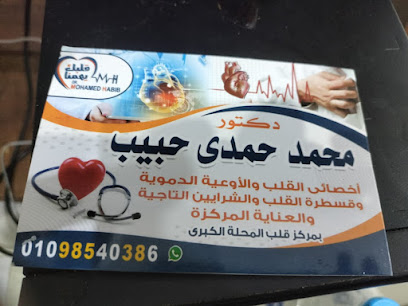 Mohamed Hamdy Hbyb